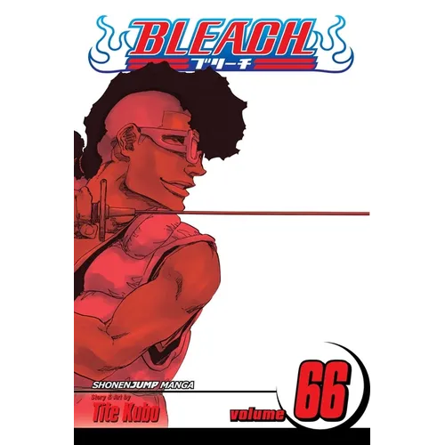 Bleach, Vol. 66: Sorry I Am Strong - Paperback