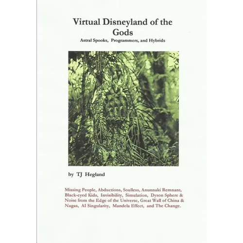 Virtual Disneyland of the Gods - Paperback