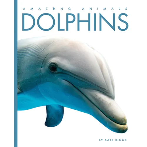 Dolphins - Paperback