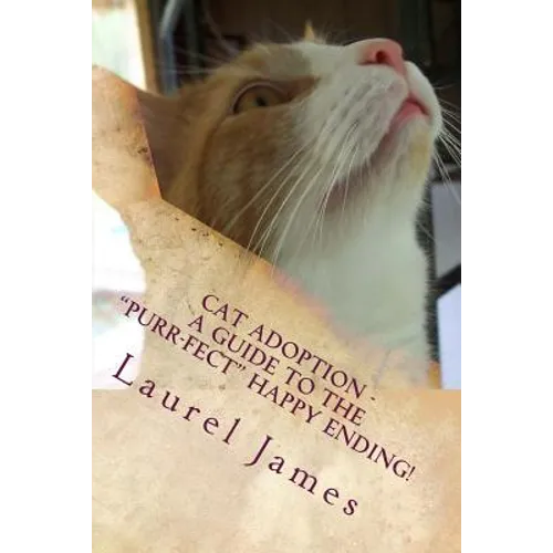 Cat Adoption - Your Guide to the 