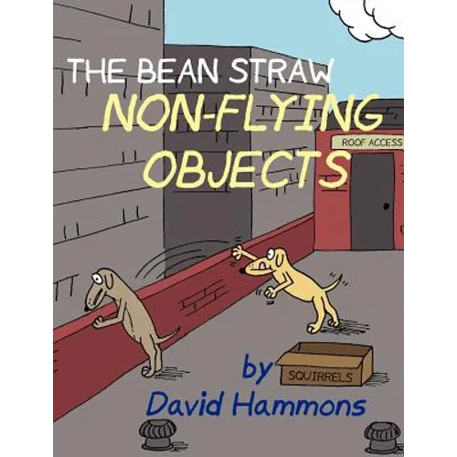 The Bean Straw: Non-Flying Objects - Paperback