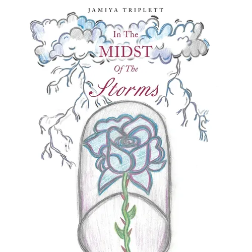 In The Midst Of The Storms - Paperback