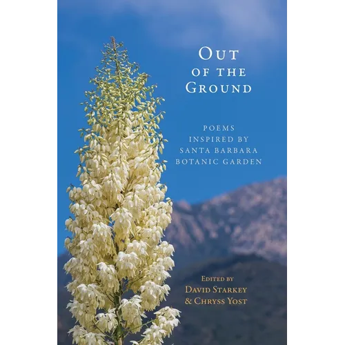 Out of the Ground - Paperback