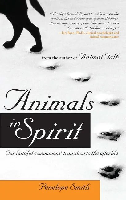 Animals in Spirit: Our Faithful Companions' Transition to the Afterlife - Paperback