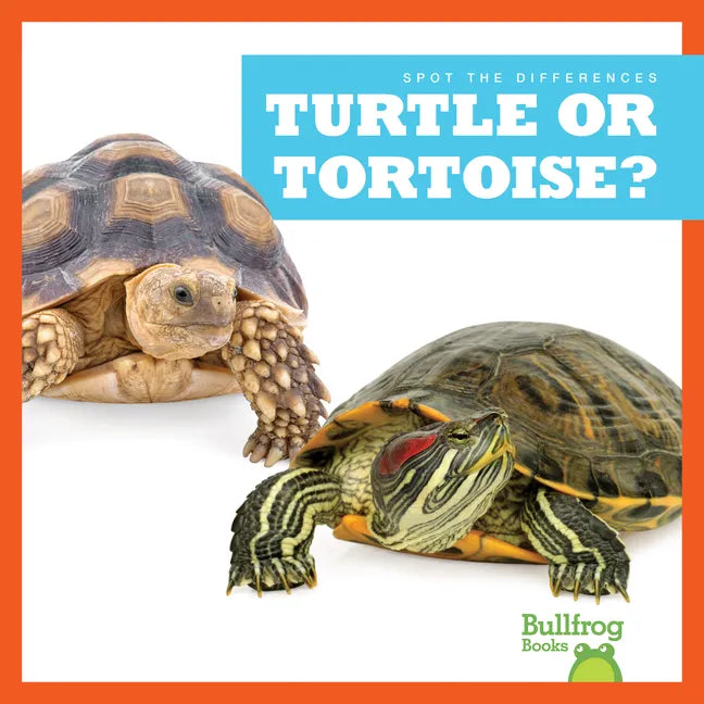 Turtle or Tortoise? - Paperback