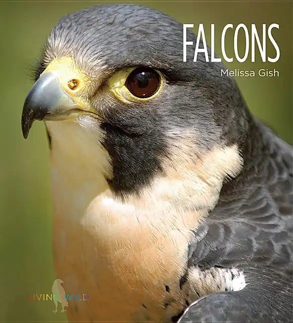 Falcons - Library Binding