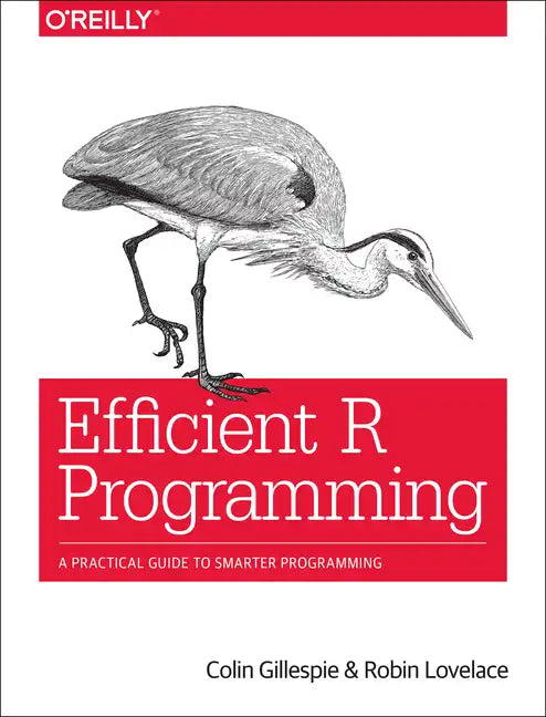 Efficient R Programming: A Practical Guide to Smarter Programming - Paperback