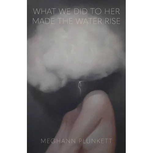 What We Did to Her Made the Water Rise - Paperback