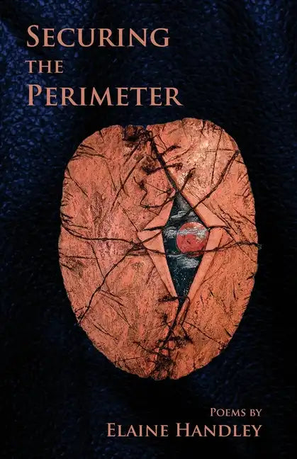 Securing the Perimeter - Paperback