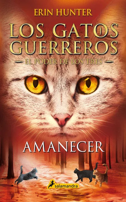 Amanecer / Sunrise - Paperback