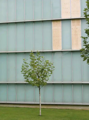 A Kassen: Dimensions Variable - Paperback