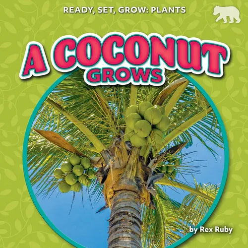 A Coconut Grows - Paperback