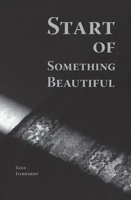 Start of Something Beautiful - Paperback