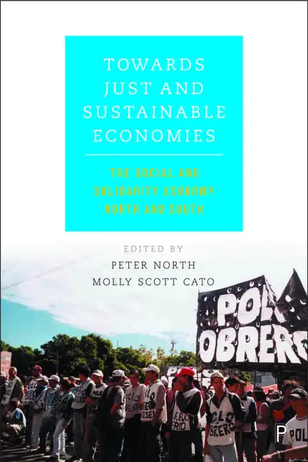 Towards Just and Sustainable Economies: The Social and Solidarity Economy North and South - Paperback