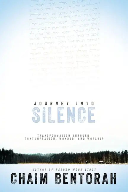Journey Into Silence: Transformation Through Contemplation, Wonder, and Worship - Paperback