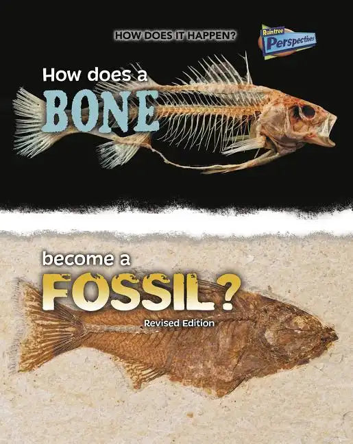 How Does a Bone Become a Fossil? - Paperback