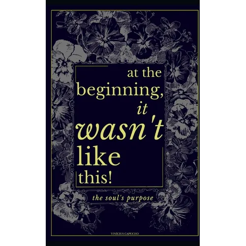 At The Beginning, It Wasn't Like This: The Soul's Purpose - Paperback