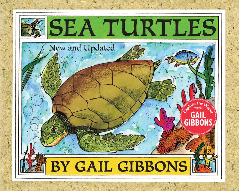 Sea Turtles - Paperback