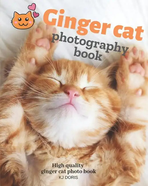 Ginger cat photography book: High quality ginger cat photo book - Paperback