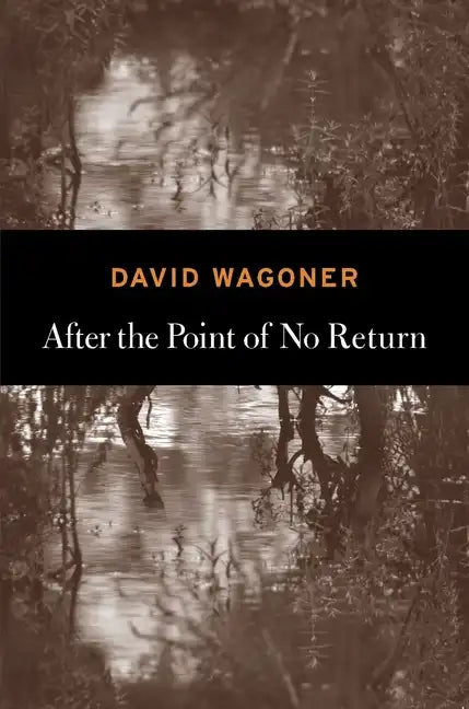 After the Point of No Return - Paperback