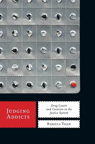 Judging Addicts: Drug Courts and Coercion in the Justice System - Paperback