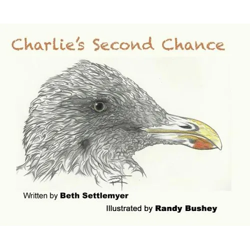 Charlie's Second Chance - Hardcover