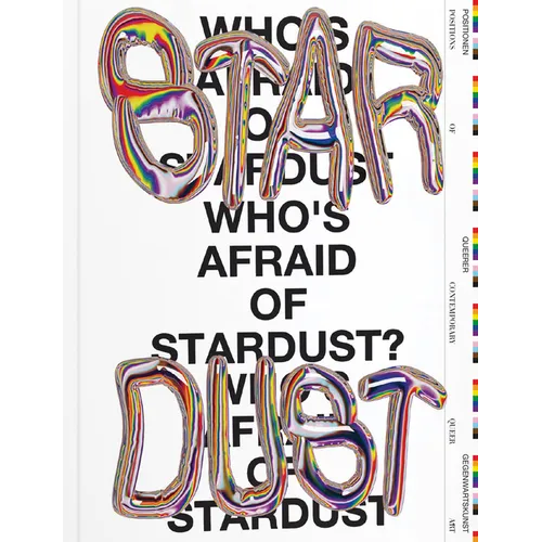 Who's Afraid of Stardust? Positions of Contemporary Queer Art - Paperback