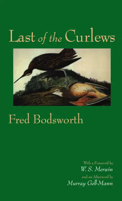 Last of the Curlews - Paperback