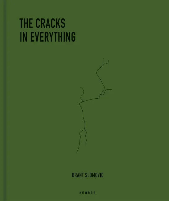 The Cracks in Everything - Hardcover