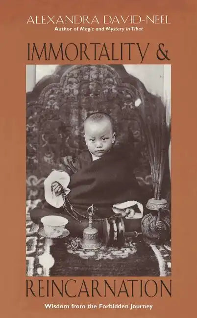 Immortality and Reincarnation: Wisdom from the Forbidden Journey - Paperback