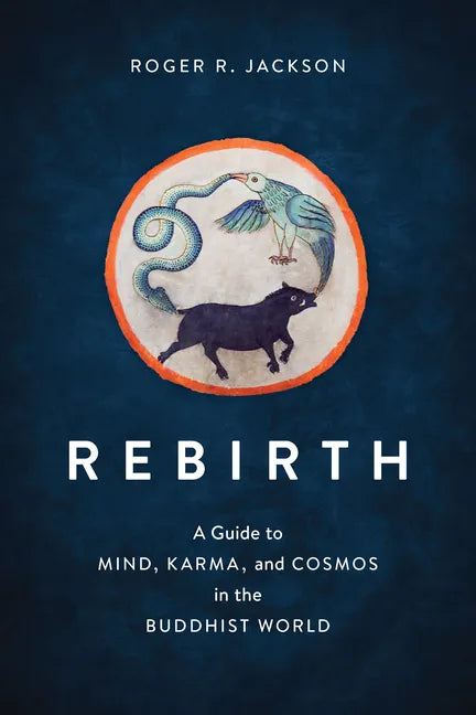 Rebirth: A Guide to Mind, Karma, and Cosmos in the Buddhist World - Paperback