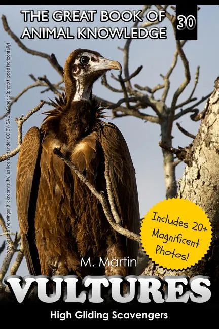 Vultures: High Gliding Scavengers - Paperback