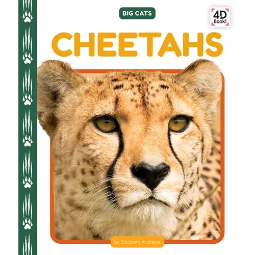 Cheetahs - Library Binding