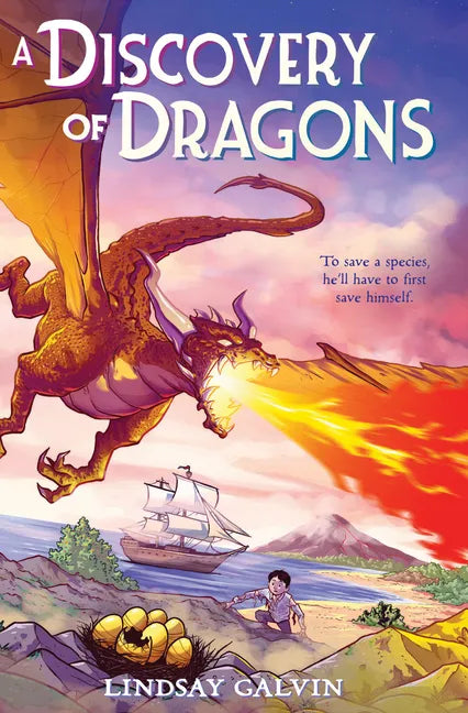 A Discovery of Dragons - Hardcover