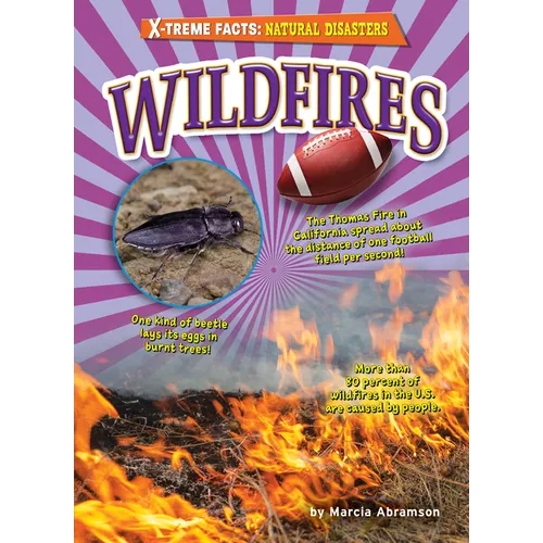 Wildfires - Paperback
