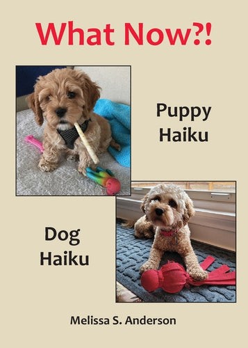 What Now?!: Puppy Haiku / Dog Haiku - Paperback