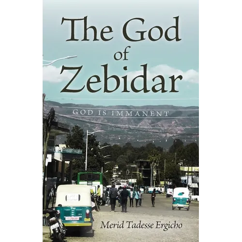 The God of Zebidar - Paperback