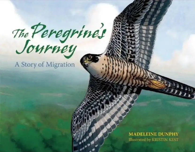 The Peregrine's Journey: A Story of Migration - Paperback