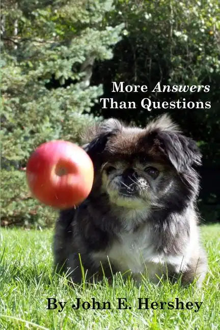 More Answers than Questions - Paperback