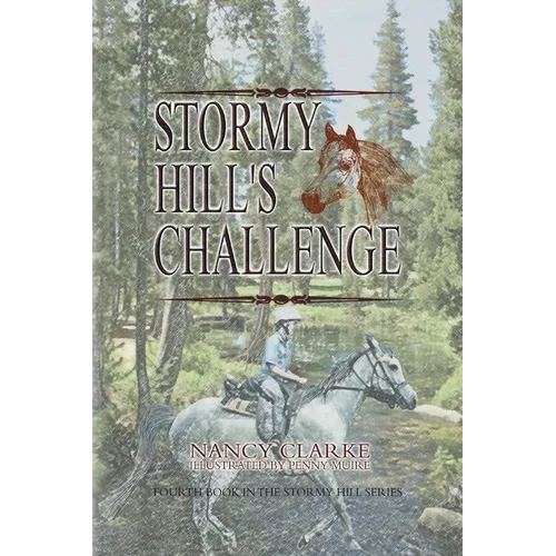 Stormy Hill's Challenge: Fourth Book in the Stormy Hill Series - Paperback