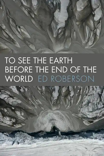 To See the Earth Before the End of the World - Paperback