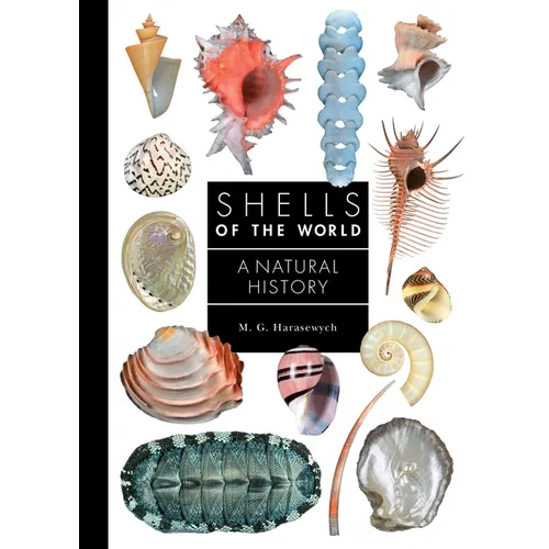 Shells of the World: A Natural History - Hardcover
