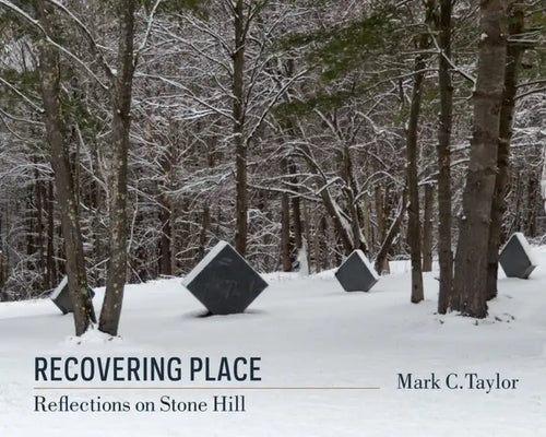 Recovering Place: Reflections on Stone Hill - Paperback