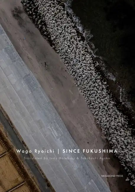 Since Fukushima - Paperback