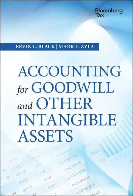 Accounting for Goodwill and Other Intangible Assets - Hardcover
