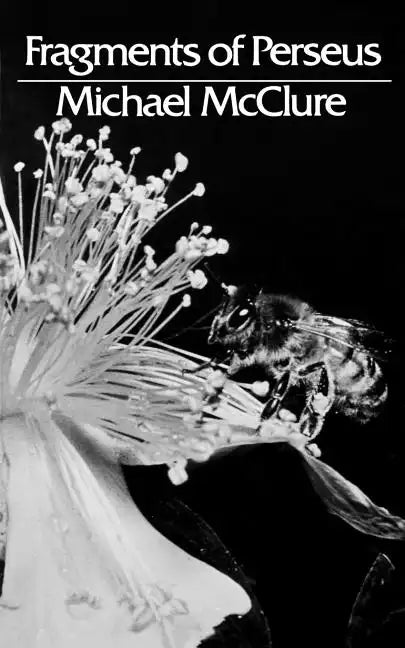 Fragments of Perseus: Poetry - Paperback