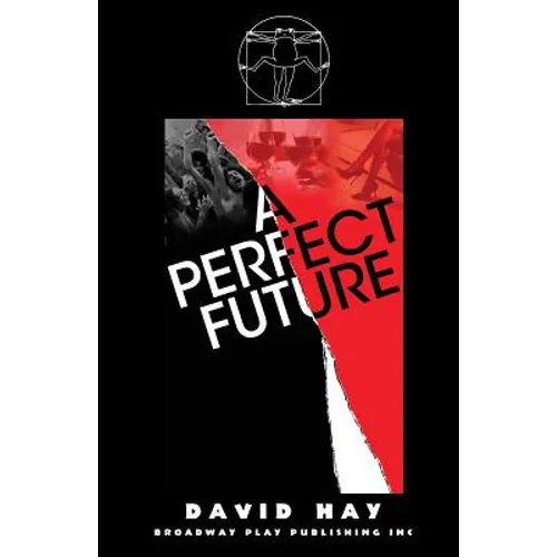 A Perfect Future - Paperback
