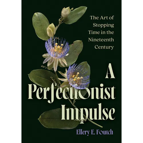 A Perfectionist Impulse: The Art of Stopping Time in the Nineteenth Century - Paperback