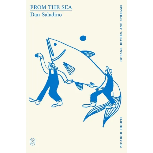 From the Sea (Picador Shorts) - Paperback