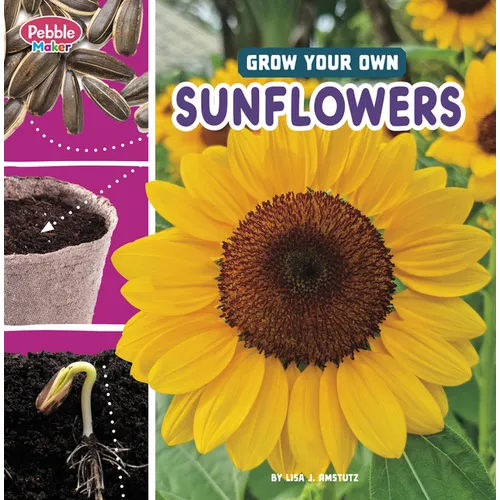 Grow Your Own Sunflowers